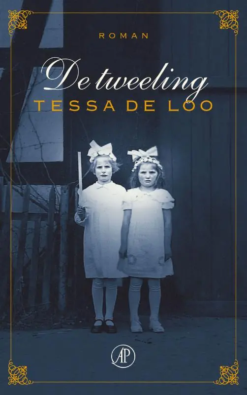 Direct Beschikbaar De tweeling - Tessa de Loo