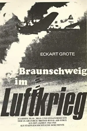Braunschweig im Luftkrieg. Allierte Film-, Bild- und Einsatzberichte der US-AIR-FORCE /BRITISCH-ROYAL-AIR-FORCE aus den Jahren 1944/1945 als stadtgeschichtliche Dokumente - Grote, Eckart Favoriet