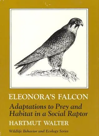 Eleonora's Falcon - Harmut Walter Laatste Versie