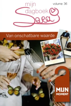 Van onschatbare waarde - Ria Maes Betaalbaar